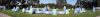 Filename=field.jpg
Filesize=278KB
Dimensions=3000x522
Date added=May 05, 2009 field.jpg